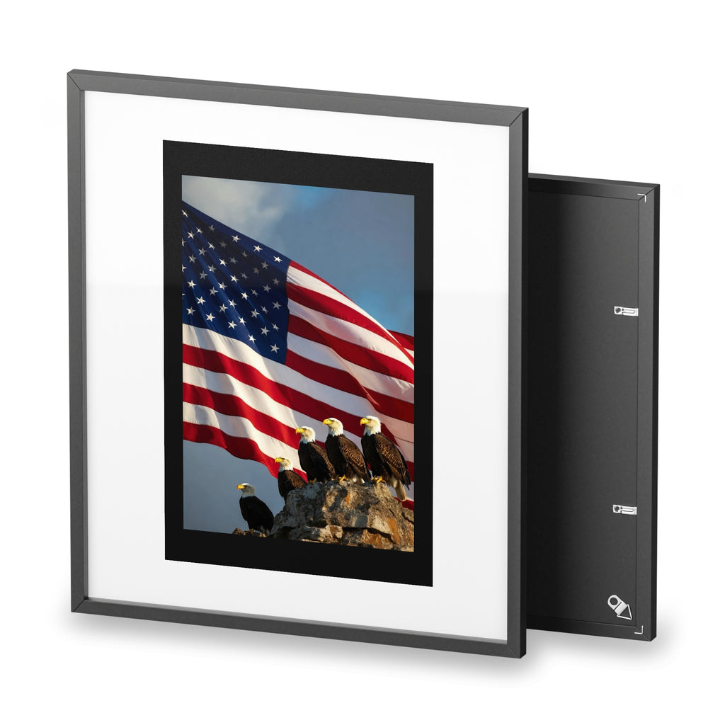 Framed Poster - Patriotic Bald Eagles & American Flag Wall Art (Matte)